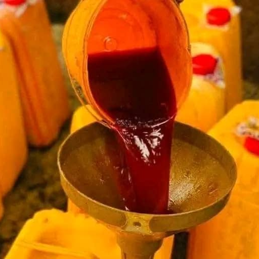 resources of palm oil exporters