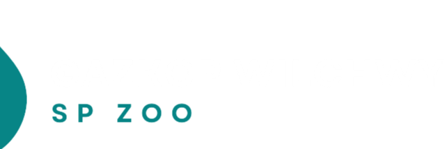 company-banner