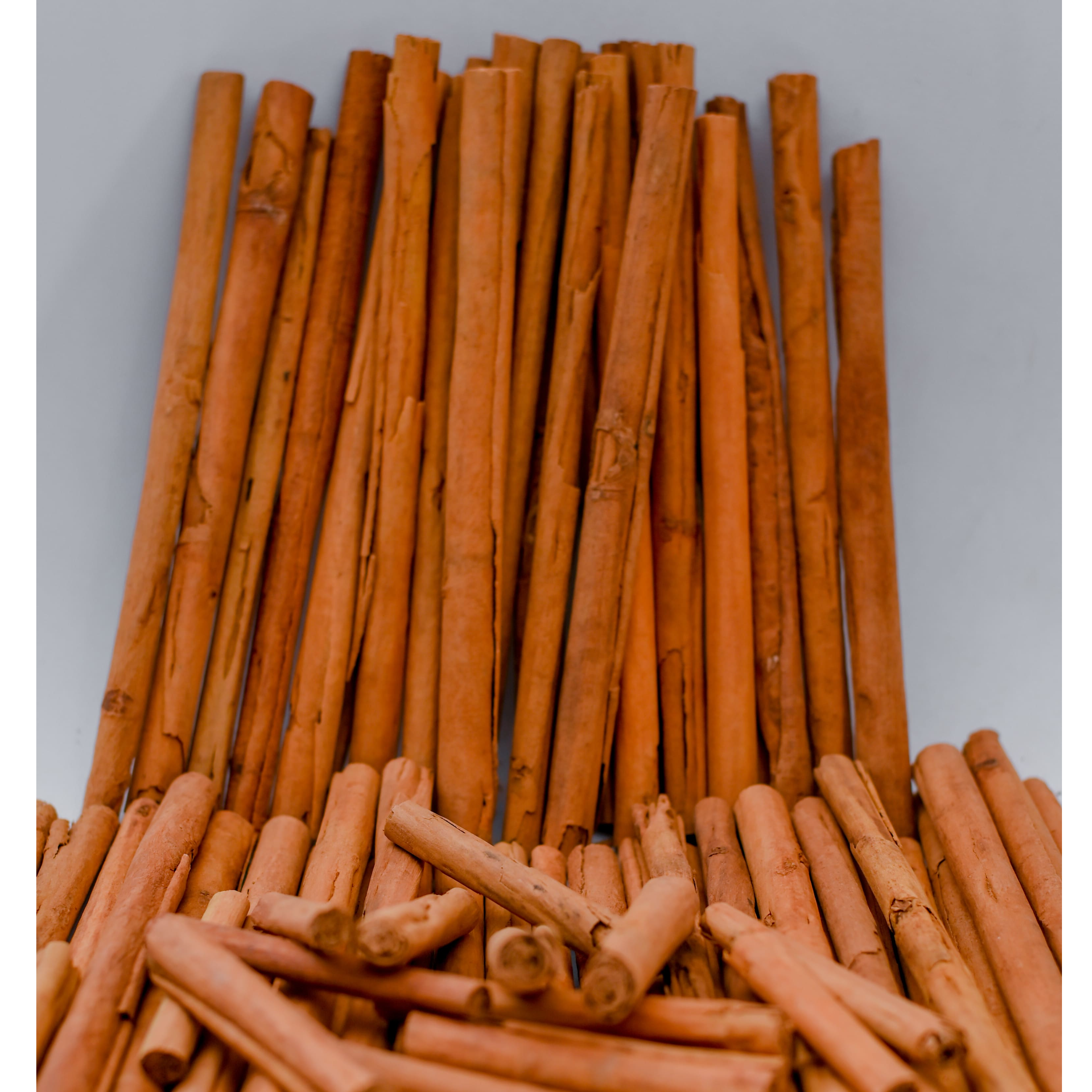 resources of Cinnamon exporters