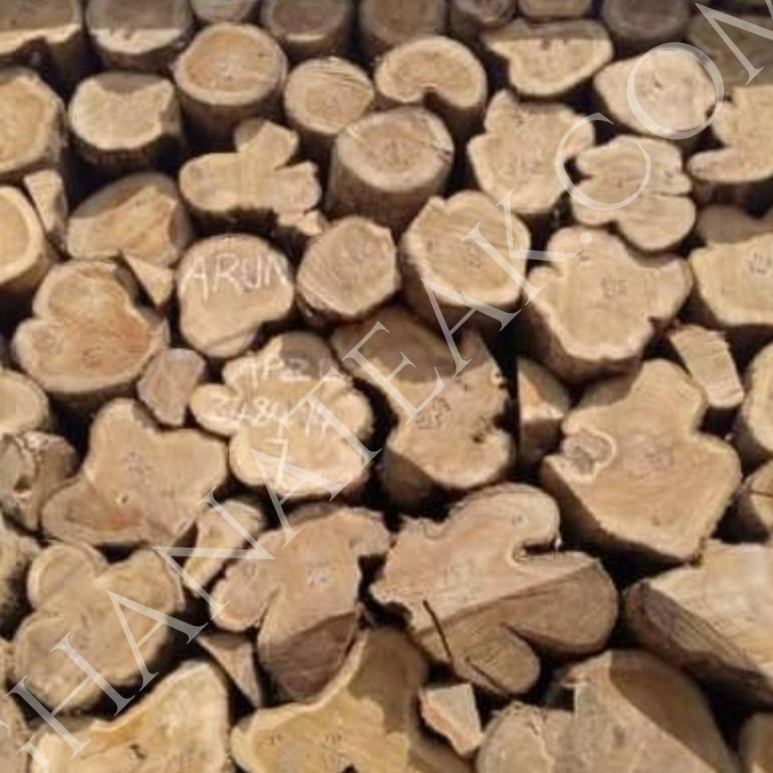 resources of Teak (Tectona Grandis) Round Logs exporters