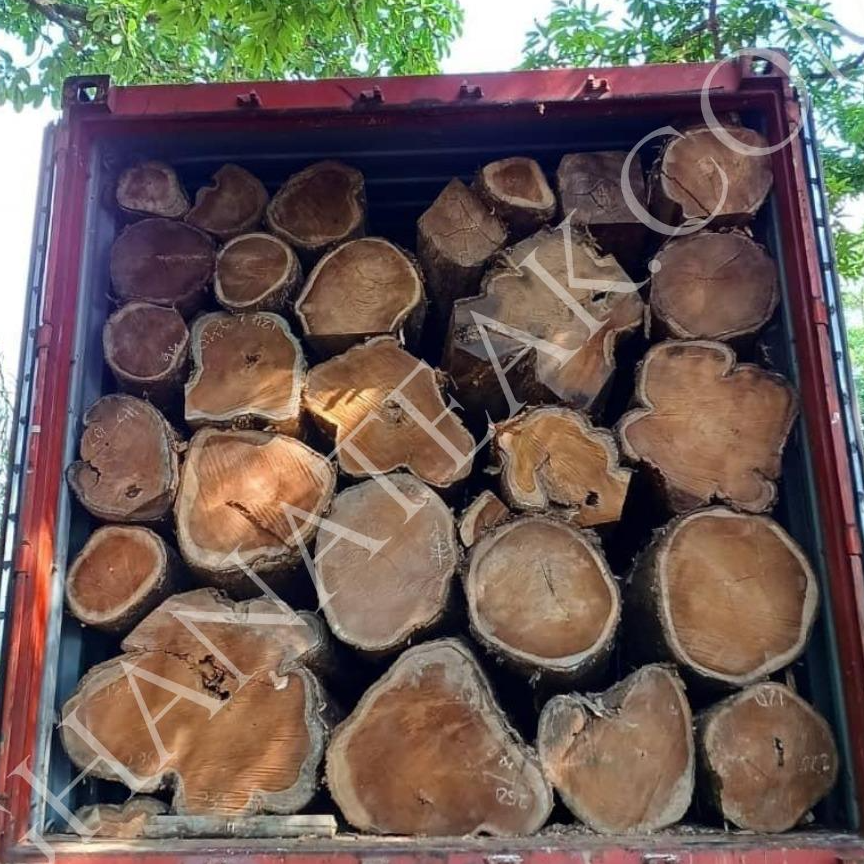 resources of Teak (Tectona Grandis) Round Logs exporters