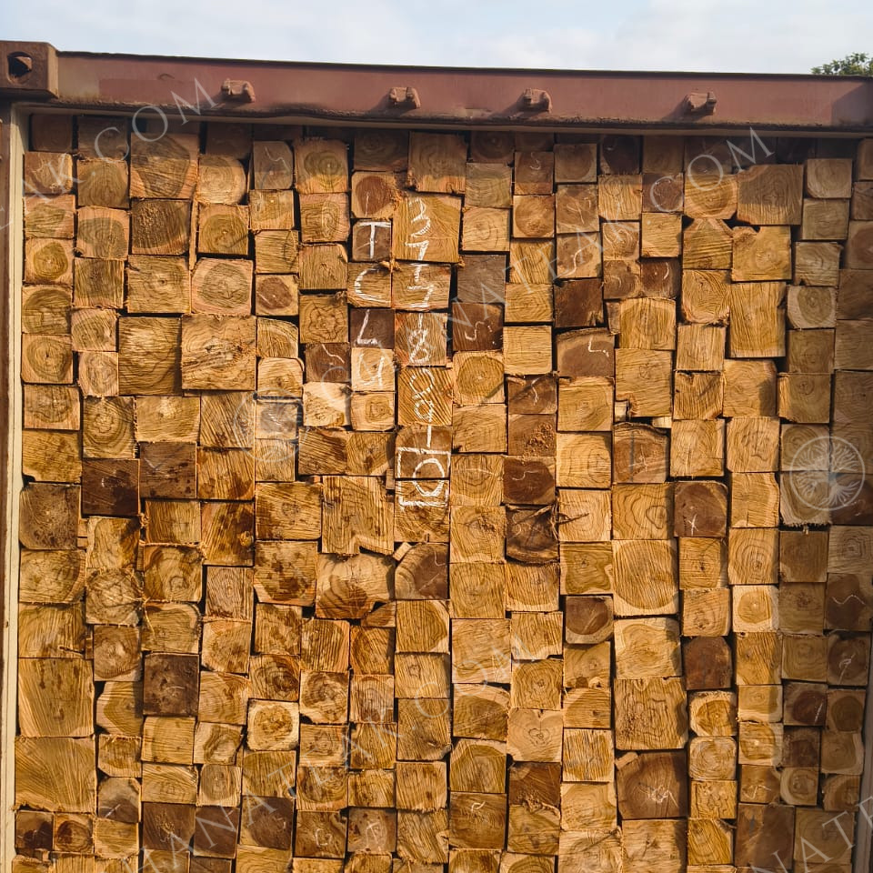 resources of Teak (Tectona Grandis) Square Logs exporters