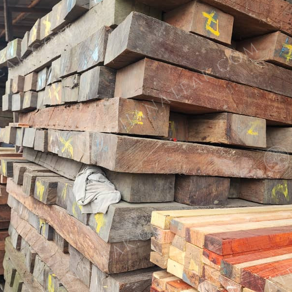 resources of Azobe (Ekki, Lophira Alata) Sawn Timber exporters
