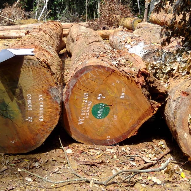 resources of Azobe (Ekki, Lophira Alata) Sawn Timber exporters