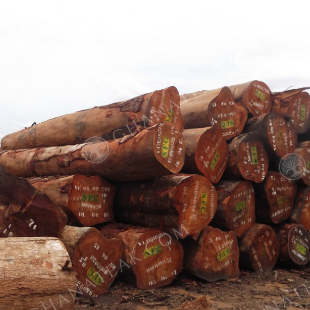 resources of Okan (Denya, Cylicodiscus Gabunensis) Sawn Timber exporters