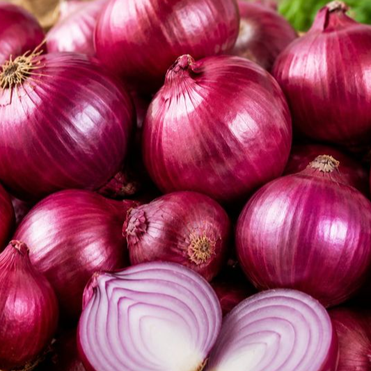 resources of fresh Red onion exporters