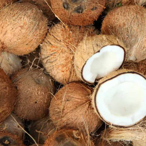 resources of fresh coconut exporters