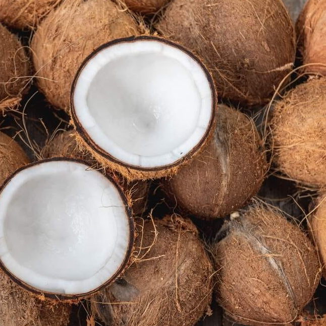 resources of fresh coconut exporters