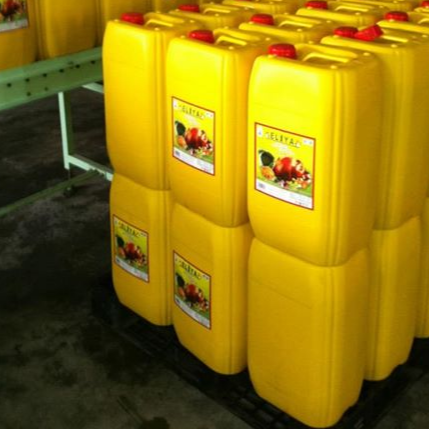 resources of RBD Palm Olein exporters