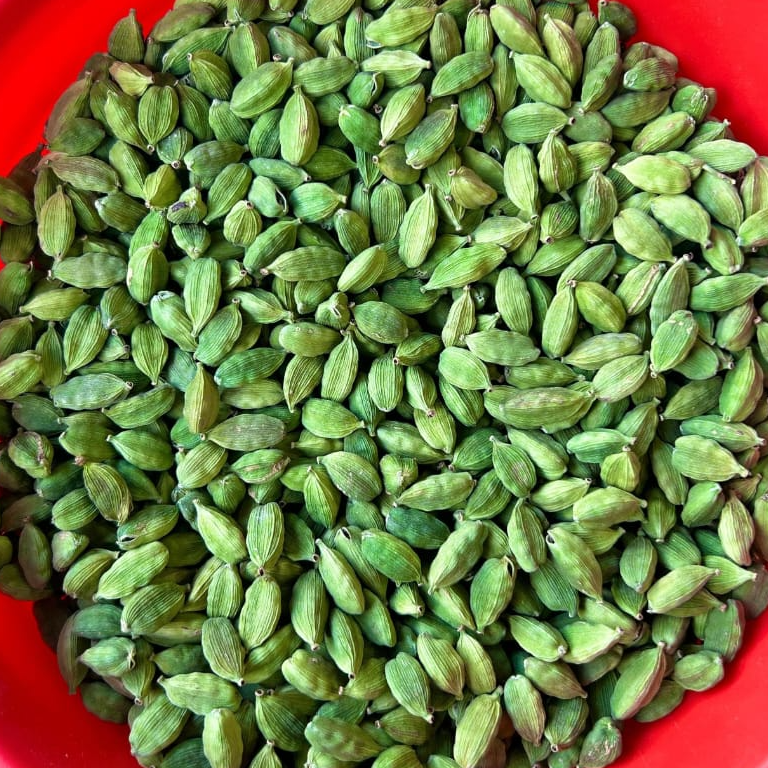 resources of Green Cardamom all sizes exporters