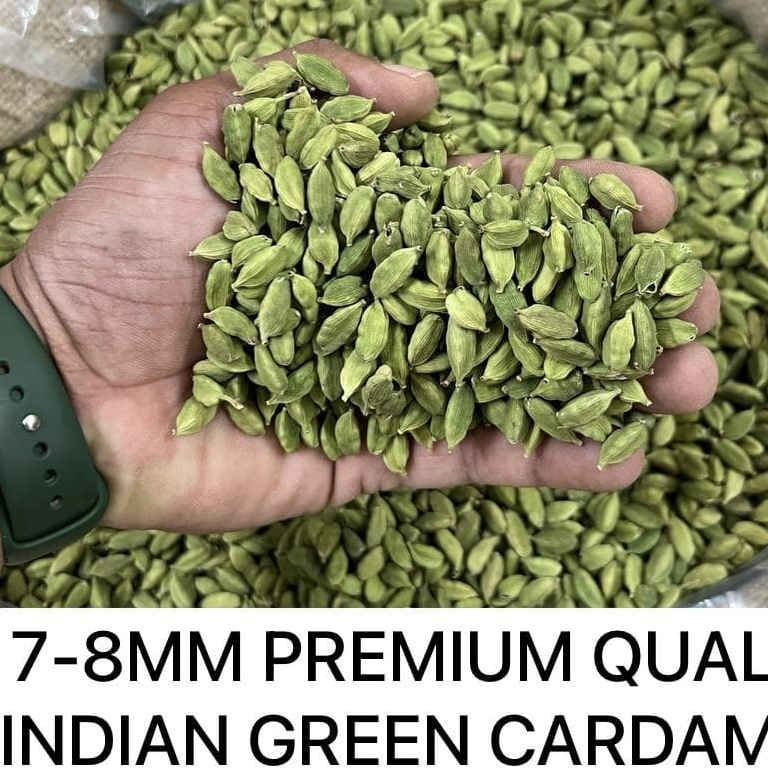 resources of Green Cardamom all sizes exporters