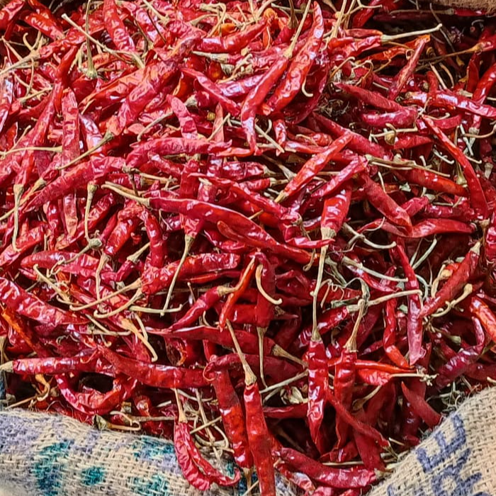 resources of Red chilli exporters