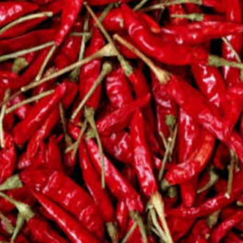 resources of Red chilli exporters