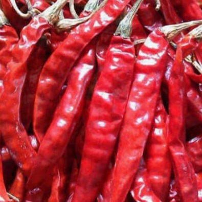 resources of Red chilli exporters