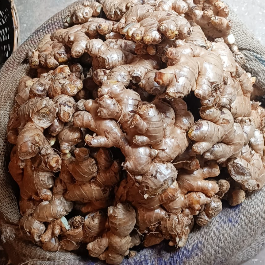 resources of Ginger exporters