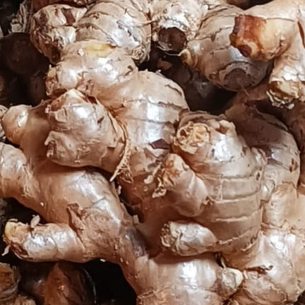 resources of Ginger exporters