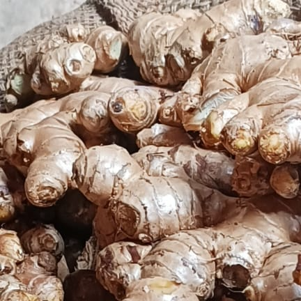resources of Ginger exporters