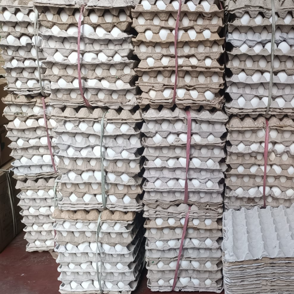 resources of Eggs, Table Eggs, Edible Eggs exporters