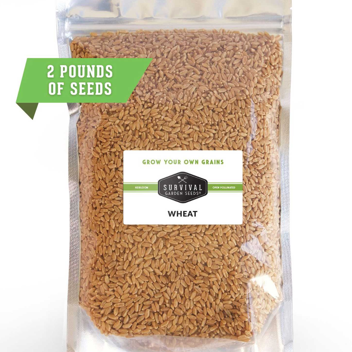 resources of Wholesale Wheat Supplier exporters