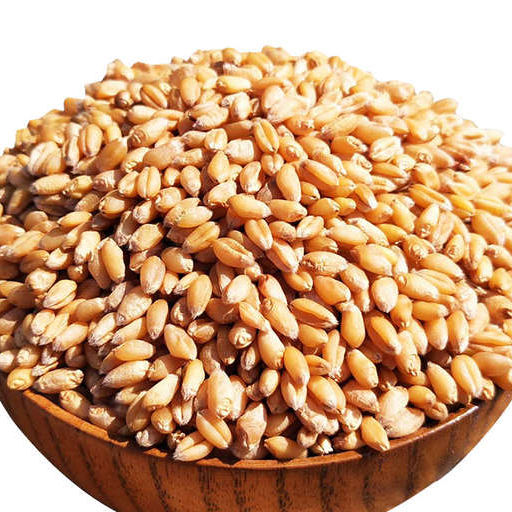resources of Soft Wheat Wholesale exporters