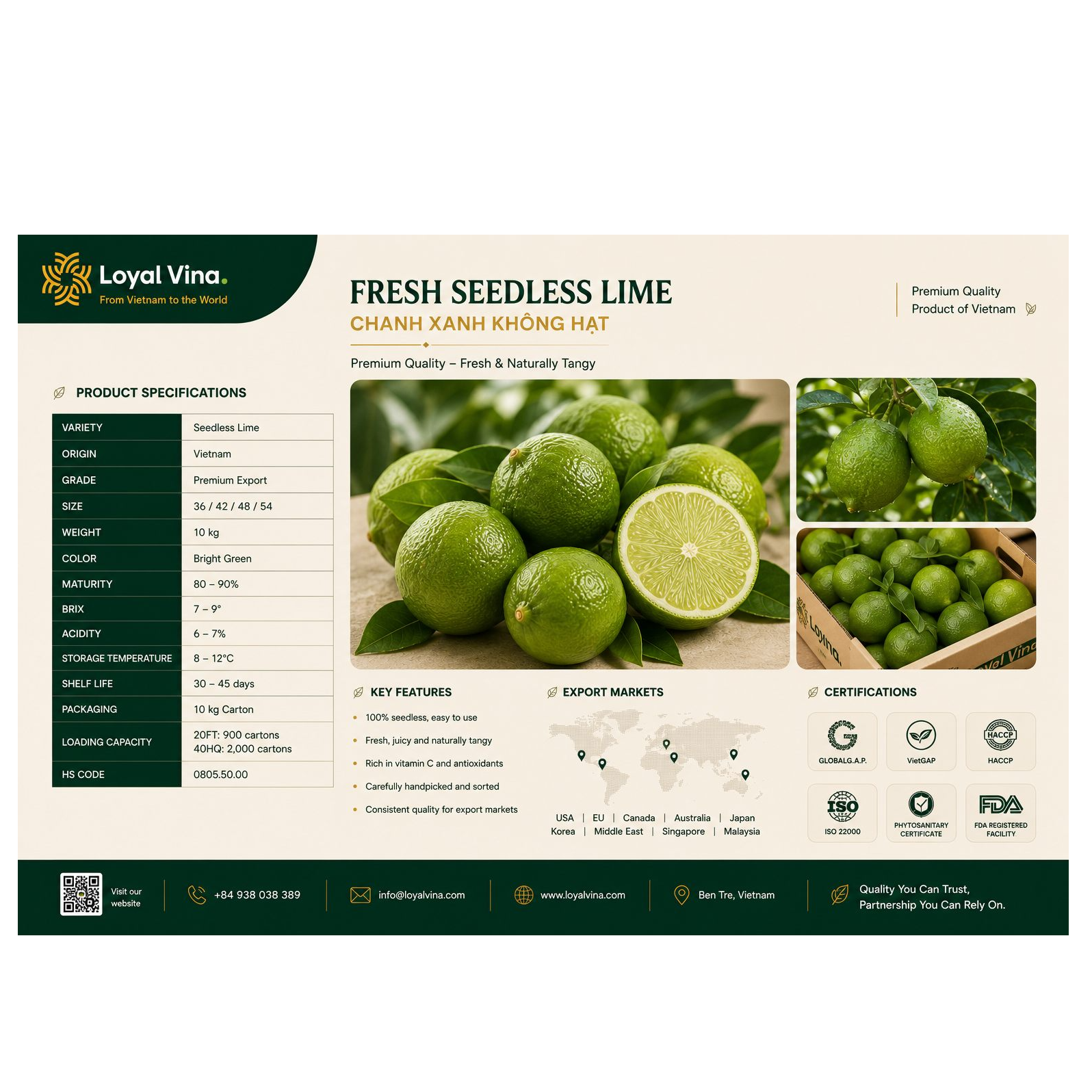 resources of Vietnamese Fresh Seedless Lime exporters