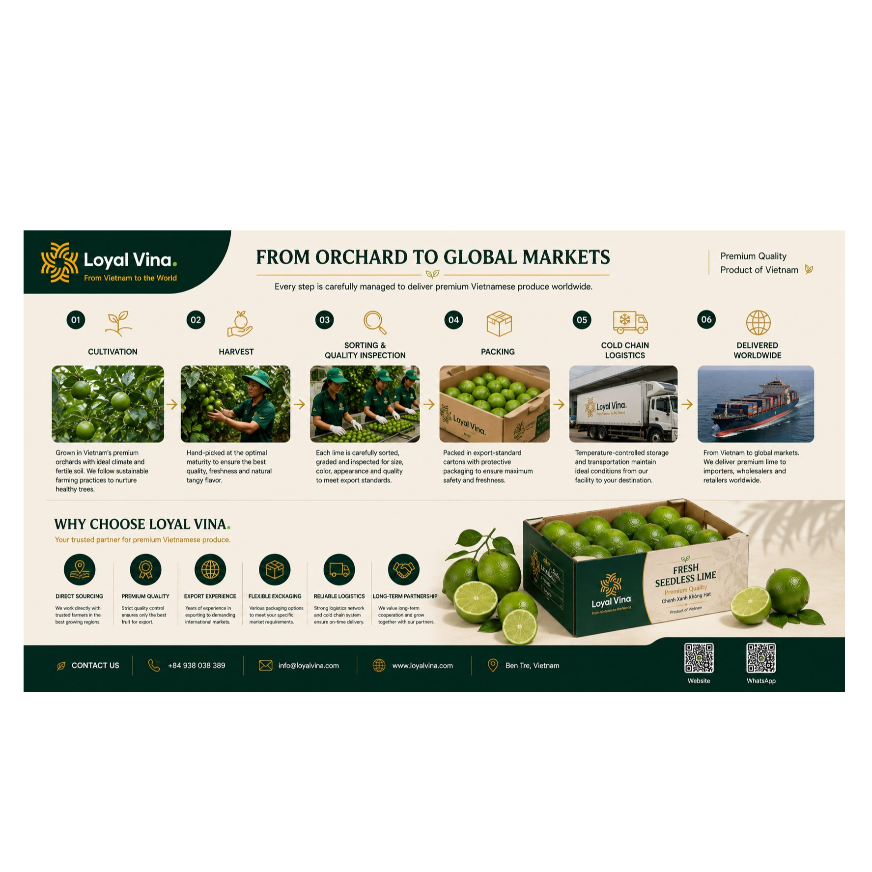 resources of Vietnamese Fresh Seedless Lime exporters