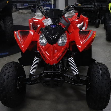 resources of 2026 Polaris Outlaw 110 EFI exporters