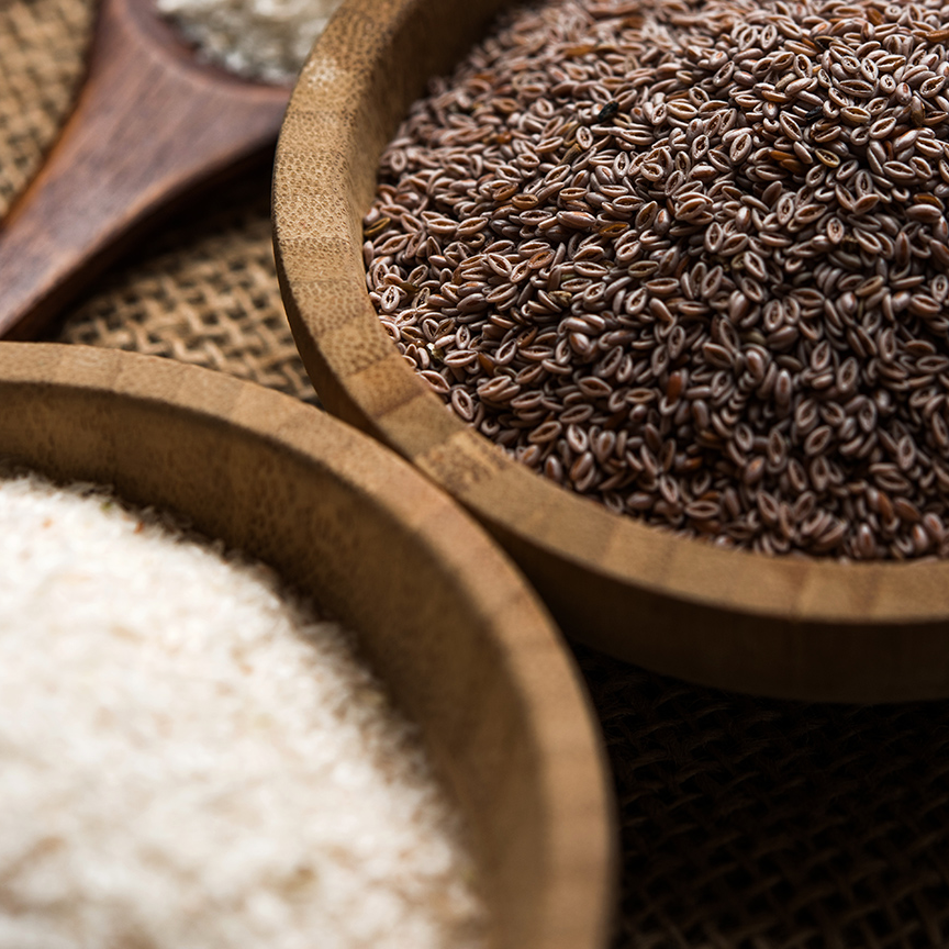 resources of Psyllium Husk exporters