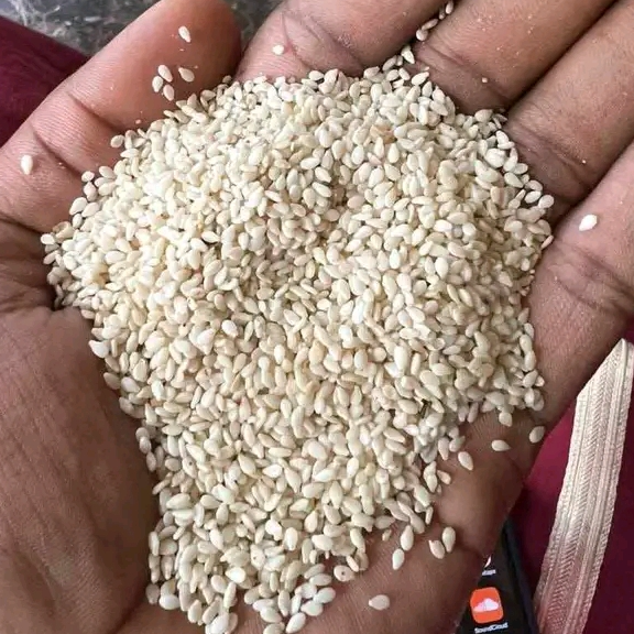 resources of Premium Nigerian White sesame seed 99.9% purity exporters