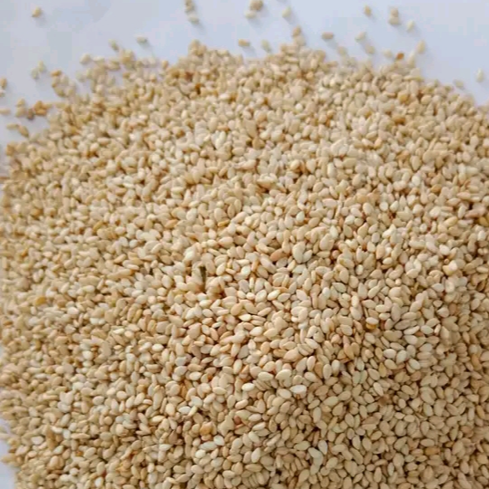 resources of Brown sesame seeds exporters