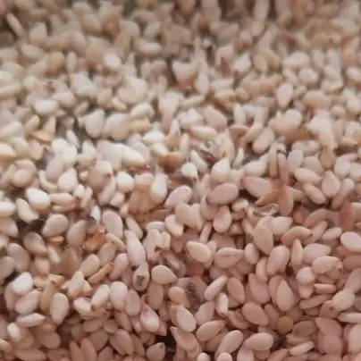 resources of Brown sesame seeds exporters