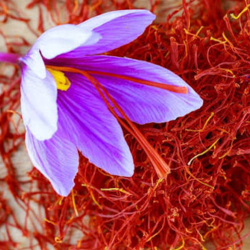 resources of Saffron exporters