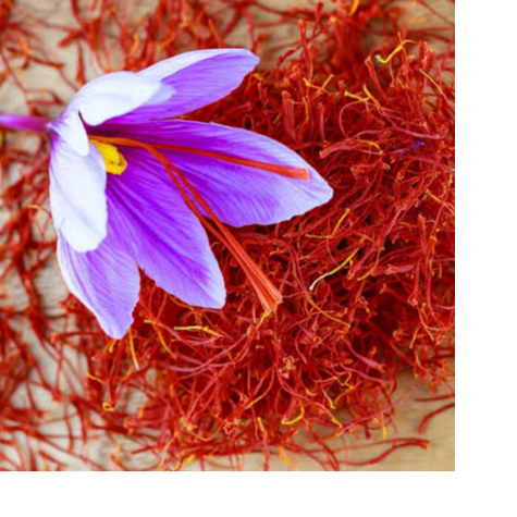resources of saffron exporters