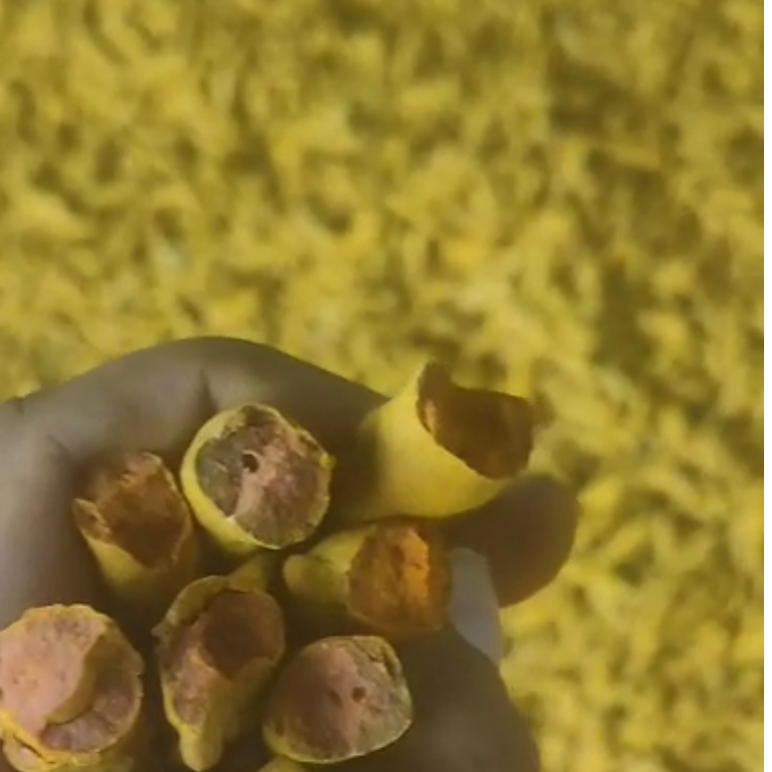 resources of Turmeric exporters