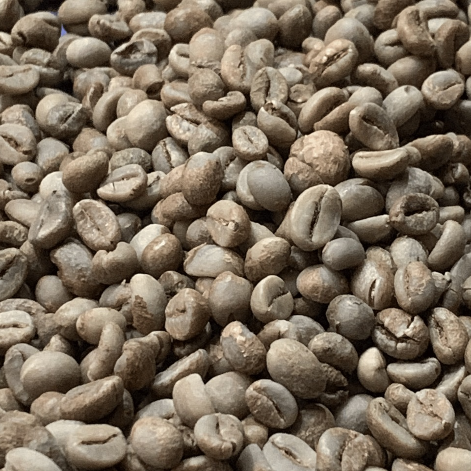 resources of Robusta Green Bean Coffee exporters
