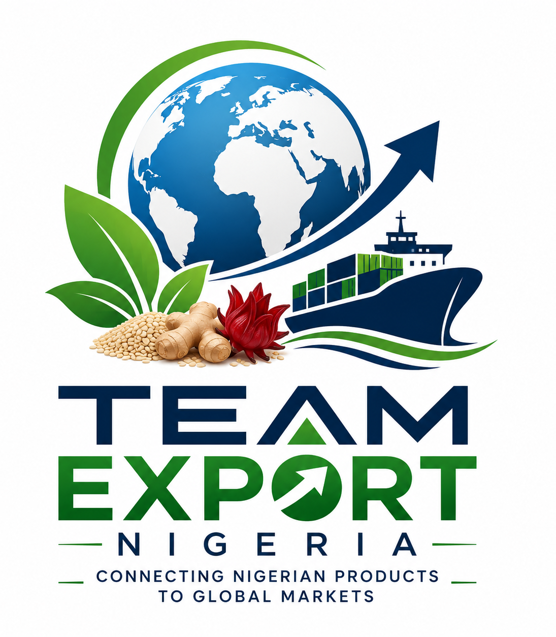 Team Export Nigeria