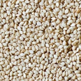 resources of Natural sesame seeds exporters