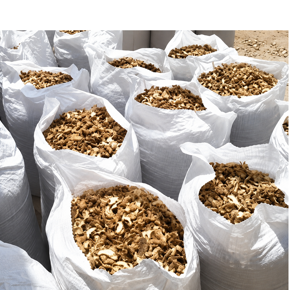 resources of dried Ginger exporters
