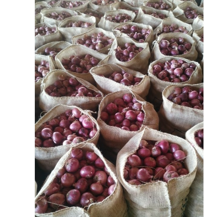 resources of Nashik Red Onian exporters