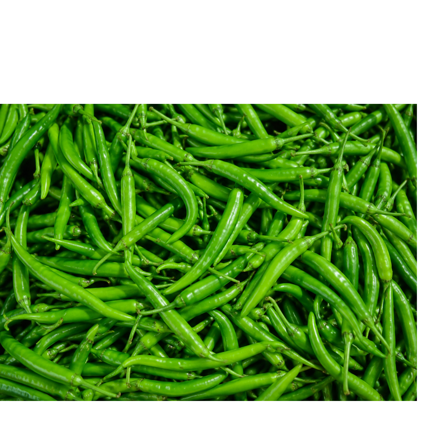 resources of 070960 exporters