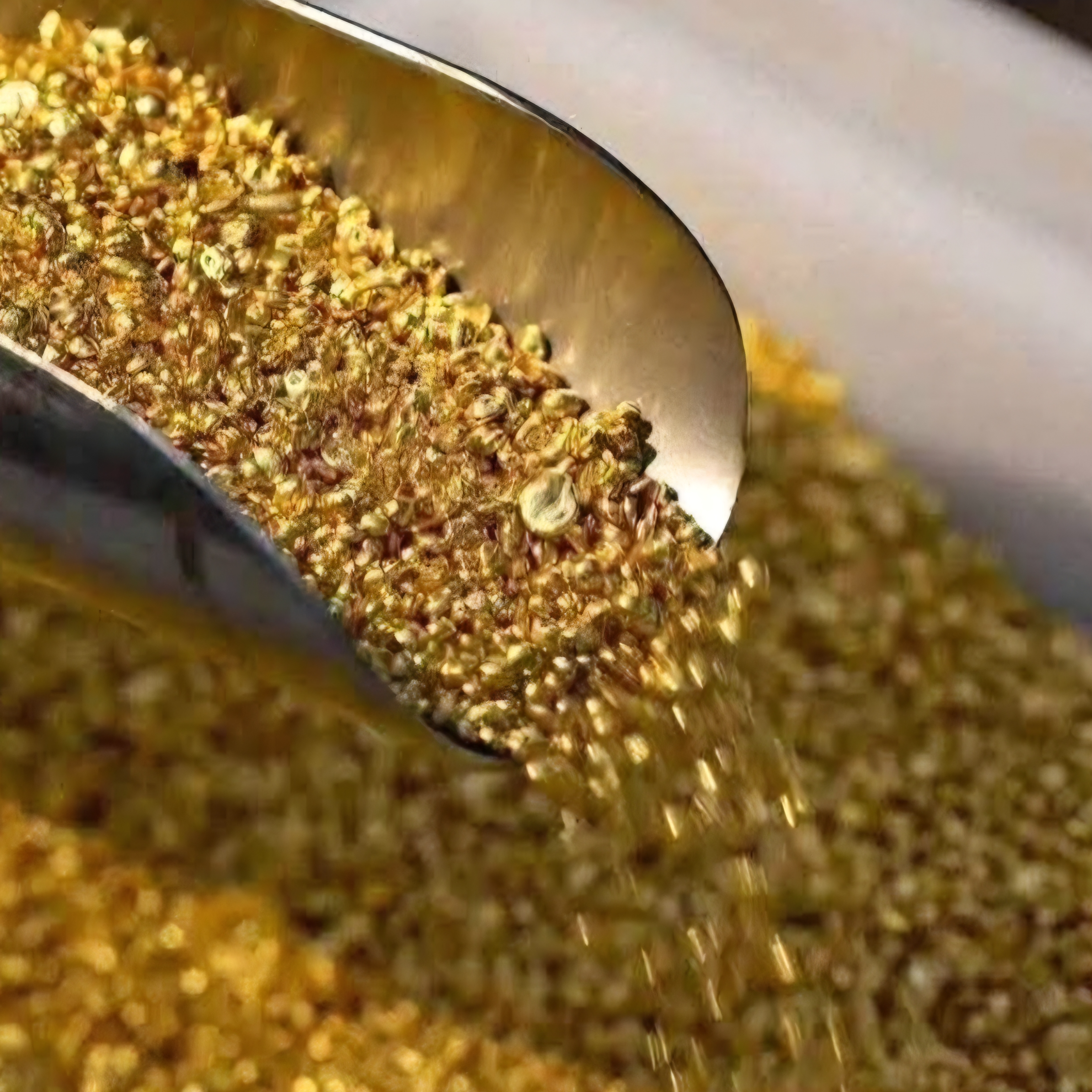 resources of Gold Bars and nuggets exporters