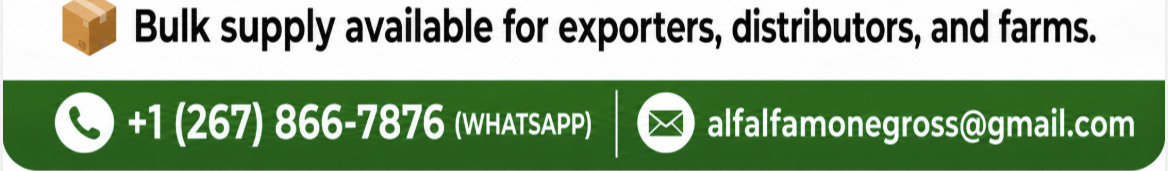 company-banner