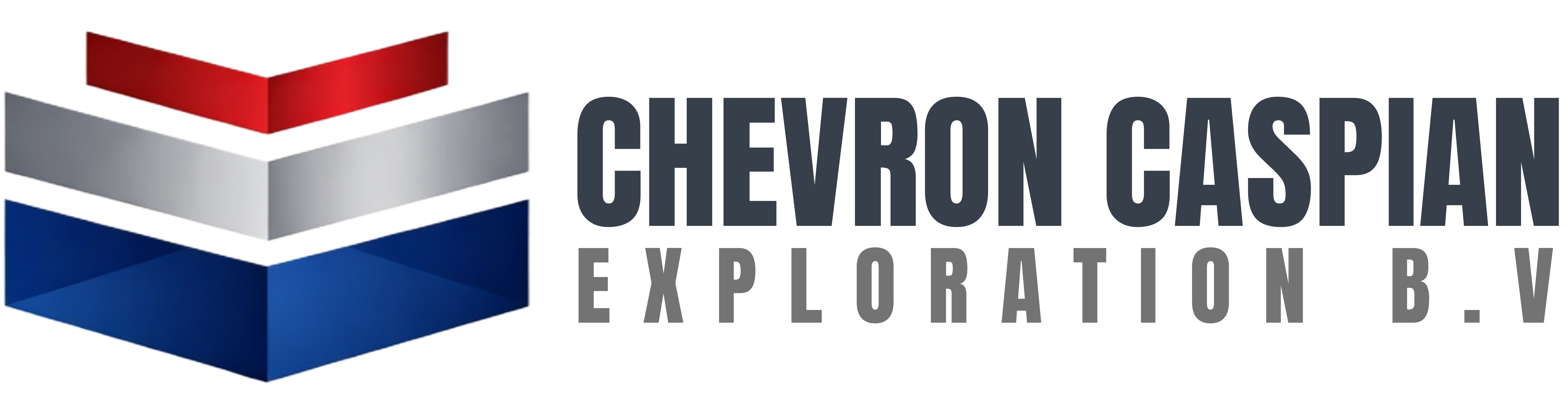 company-banner