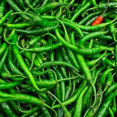 resources of Green Chilli exporters