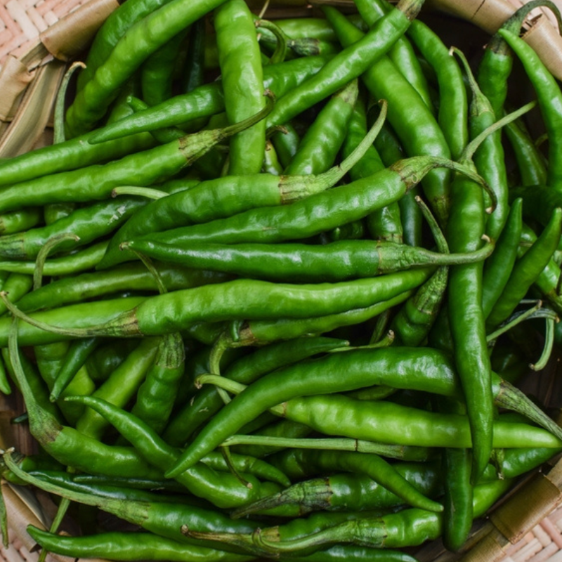 resources of Green Chilli exporters