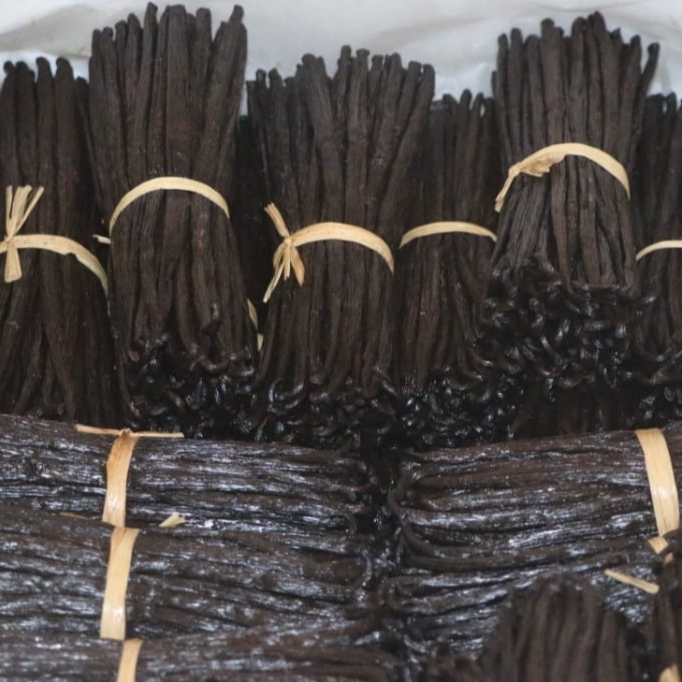 resources of Madagascar Grade A Gourmet  Vanilla beans exporters