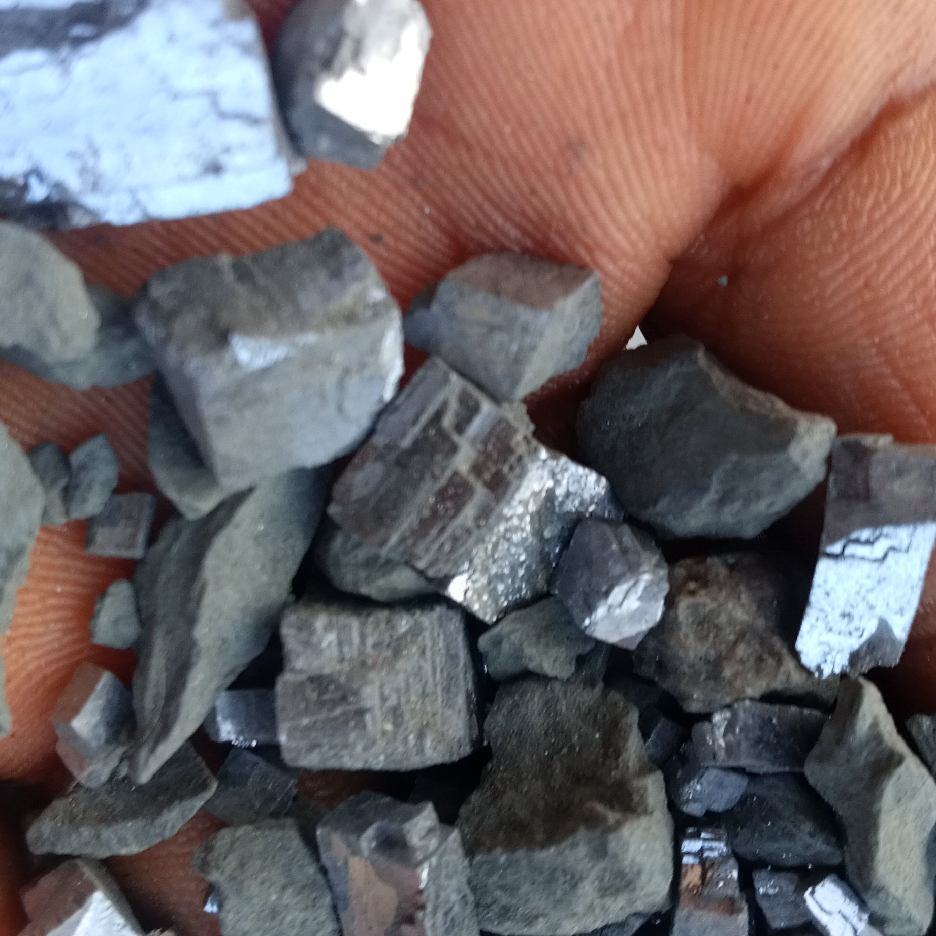 resources of Cornelius exporters