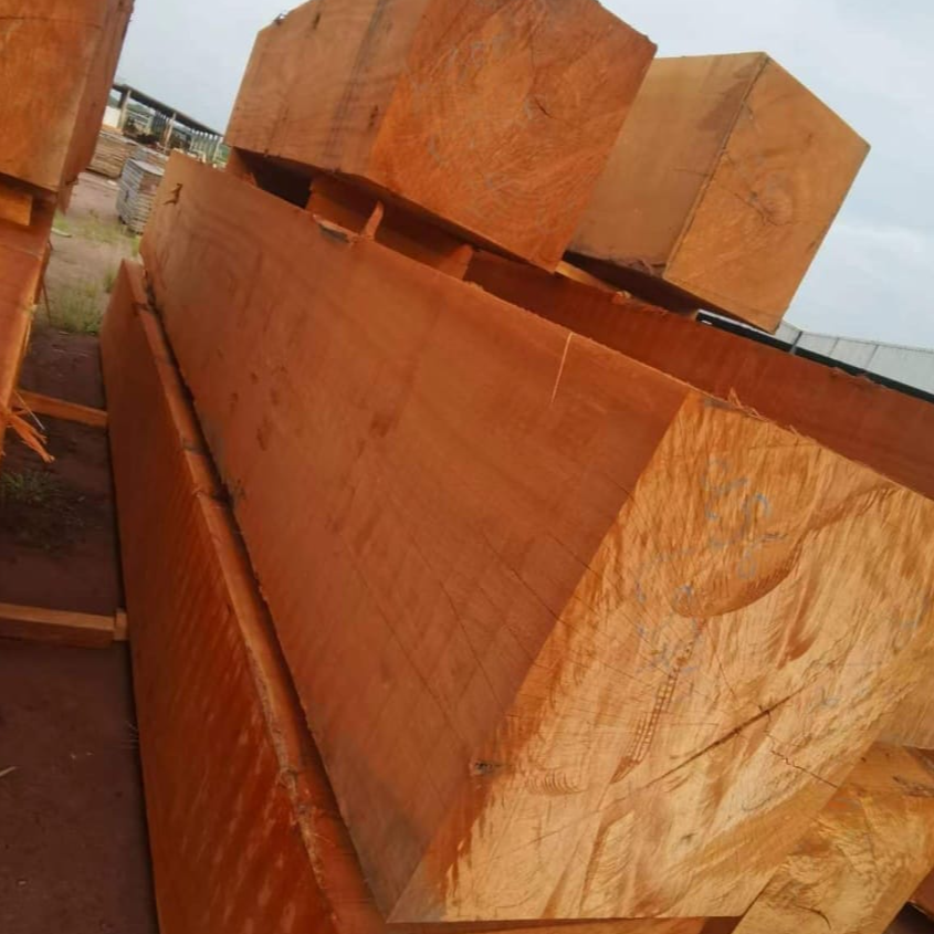 resources of IROKO WOOD exporters