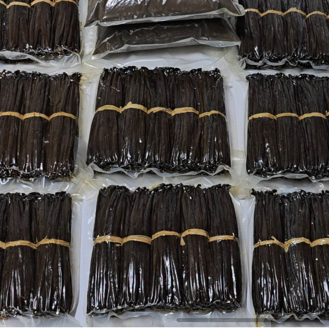 resources of Madagascar Grade A Gourmet  Vanilla beans exporters