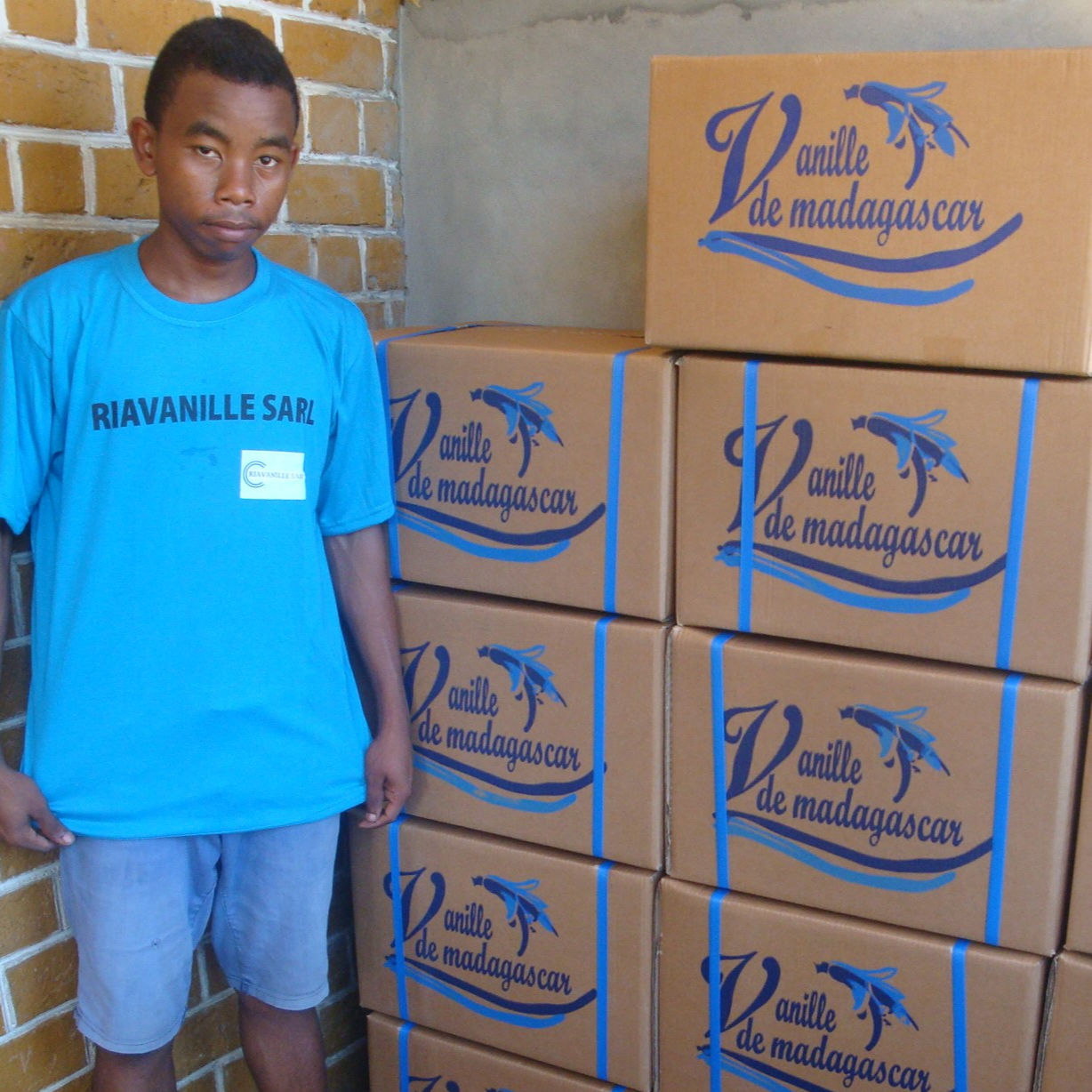 resources of Madagascar Grade A Gourmet  Vanilla beans exporters